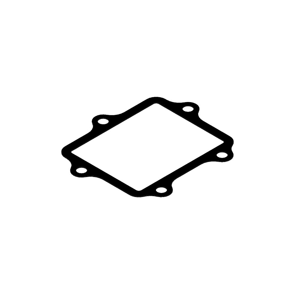 Junta caja de láminas Yamaha YZ 250 03-19