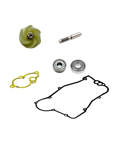 Bomba agua completa Gas Gas EC 250 00-13