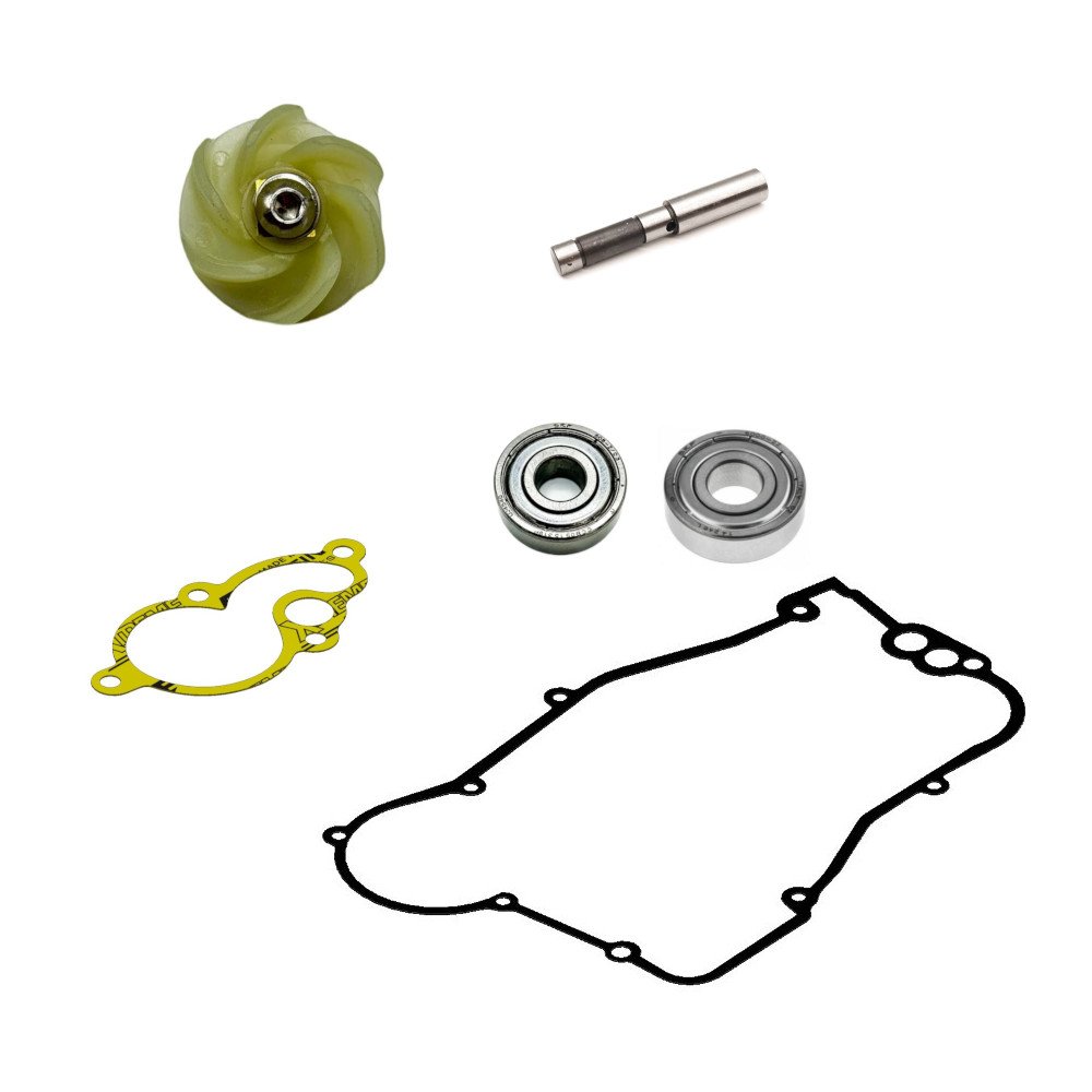 Bomba agua completa Gas Gas EC 250 00-13