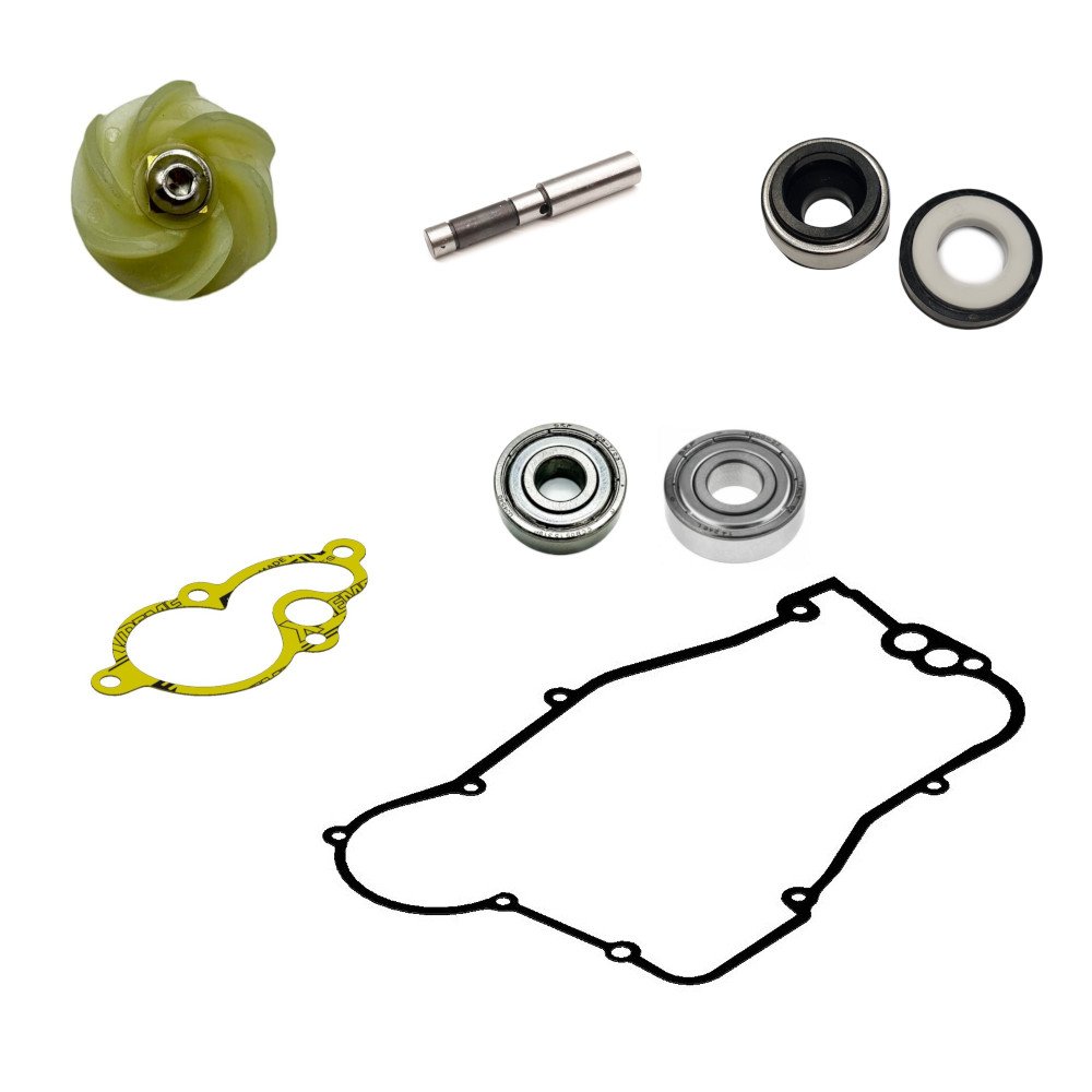 Bomba agua completa Gas Gas EC 250 14-18