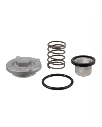 Tapón de vaciado Yamaha con filtro y muelle