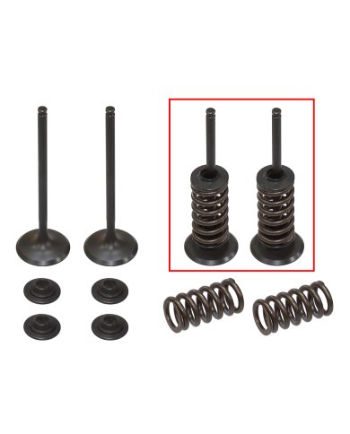Kit de Válvulas de Admisión con muelles KTM EXC-F/SX-F 250 08-13