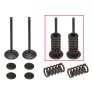Kit de Válvulas de Admisión con muelles KTM EXC-F/SX-F 250 08-13