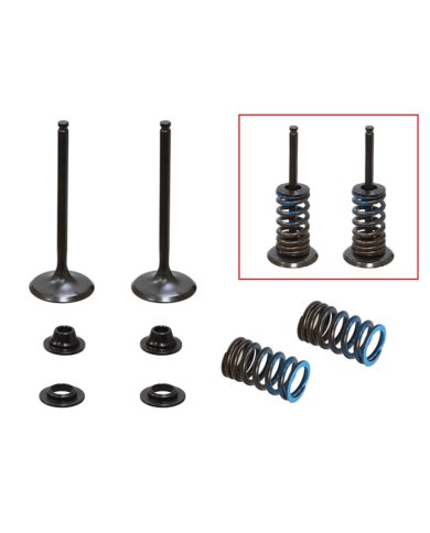 Kit válvulas completo admisión con muelles Yamaha YZ 250 F 14-18