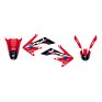 Pack plásticos + adhesivos Honda CRF 250X 04-19