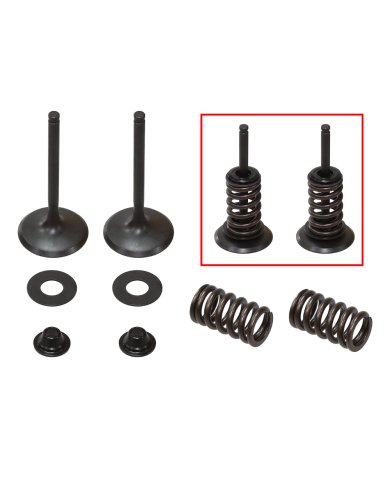 Kit válvulas completo admisión con muelles Kawasaki KX 450 F 09-15