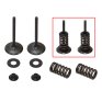 Kit válvulas completo admisión con muelles Kawasaki KX 450 F 09-15