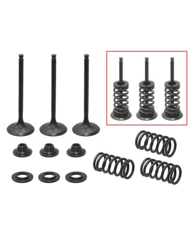 Kit de Válvulas de Admisión con muelles Yamaha YZ 450F 03-09 / WR 450F 03-15