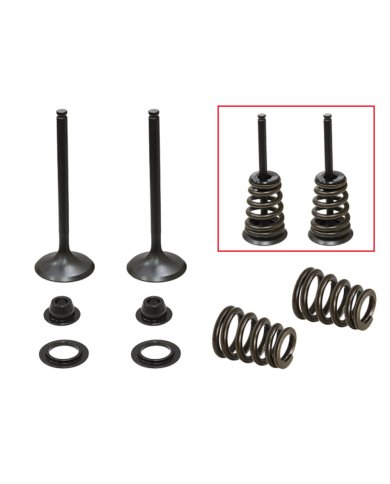 Kit Válvulas con muelles de admisión Husqvarna/Ktm