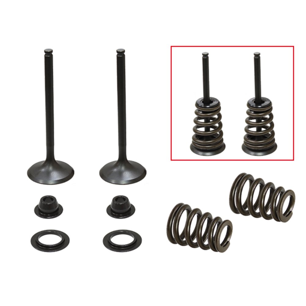 Kit Válvulas con muelles de admisión Husqvarna/Ktm