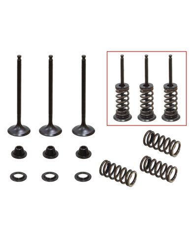 Kit válvulas completo admisión con muelles Yamaha YZ 250 F 01-13 Gas Gas