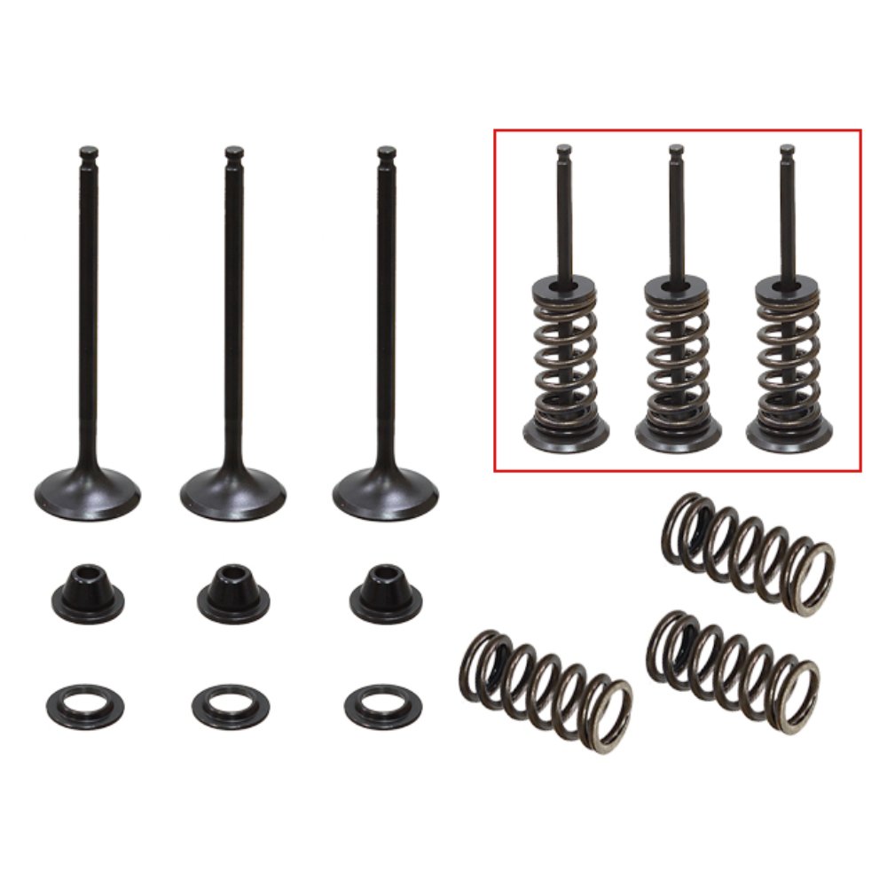 Kit válvulas completo admisión con muelles Yamaha YZ 250 F 01-13 Gas Gas