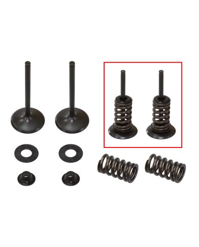 Kit válvulas completo admisión con muelles Kawasaki KX 450 F 06-08