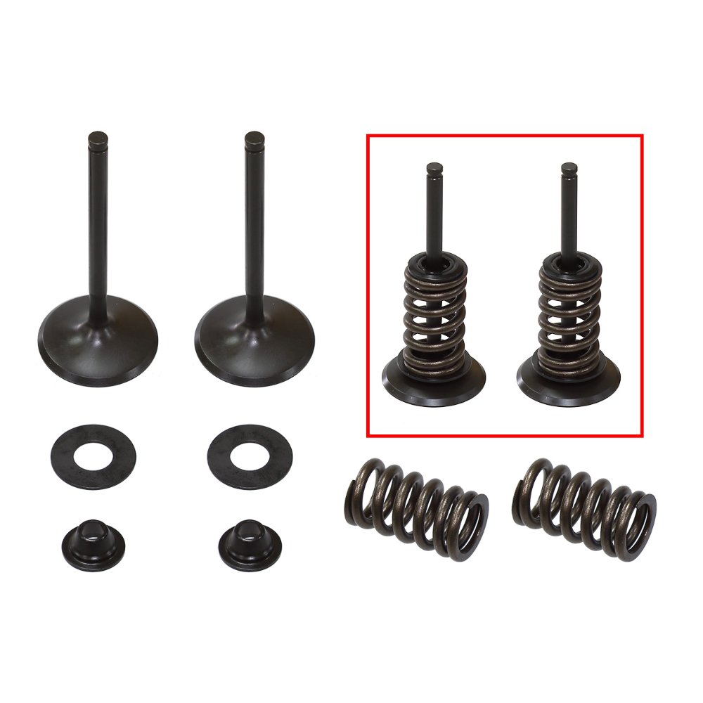 Kit válvulas completo admisión con muelles Kawasaki KX 450 F 06-08