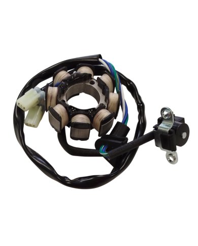 Encendido Honda CRF 250R 04-09 / CRF 450R 05-08