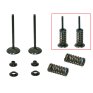 Kit de valvulas de admisión con muelles Honda CRF 250R 10-15