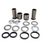Kit de reparación basculante Psychic Kawasaki KX 125 99-05 / KX 250 99-07