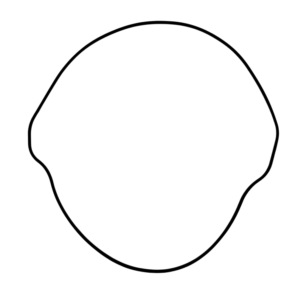 Junta tapa de embrague Honda CR125R 87-07