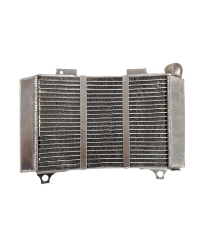 Radiador Aprilia RS 250