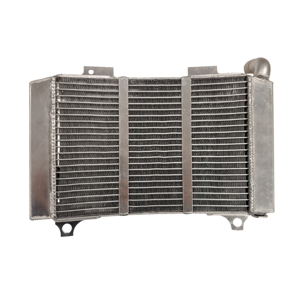 Radiador Aprilia RS 250