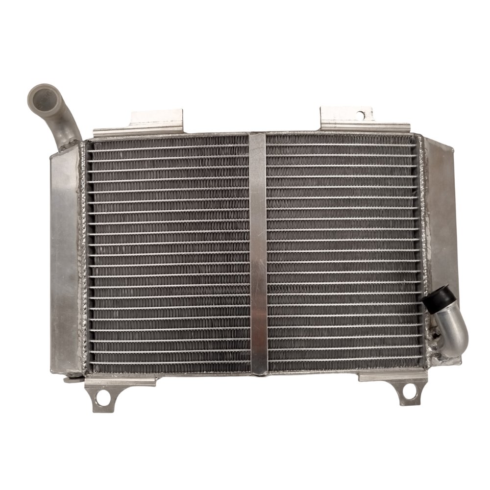 Radiador Aprilia RS 250