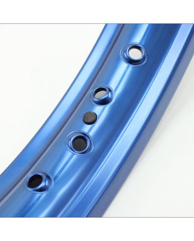 Tapones de llanta (2 ud.)