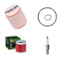 Pack mantenimiento Suzuki LTZ 400 (sin aceite)