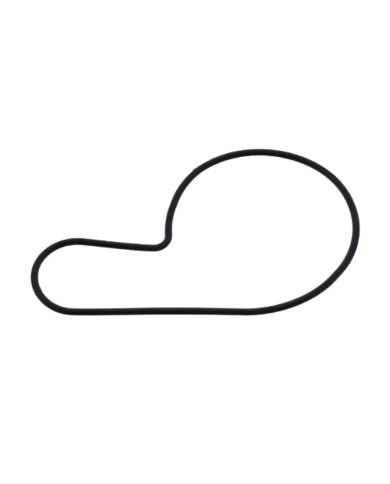 Junta tapa bomba agua