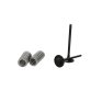 Kit de válvulas de admisión Honda CRF 250 R/X