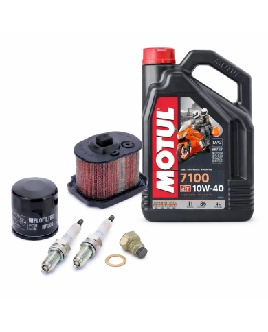 Pack mantenimiento Yamaha Teneré 700