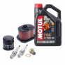Pack mantenimiento Yamaha Teneré 700