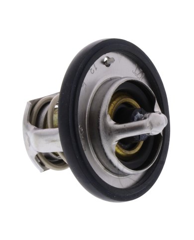 Termostato Tourmax Suzuki King Quad