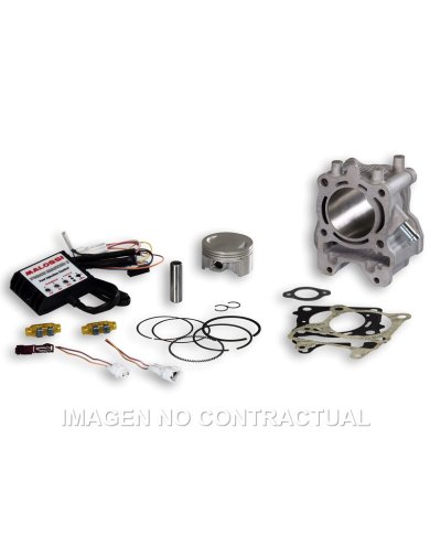 Equipo motor Malossi Honda PCX 125 13-20