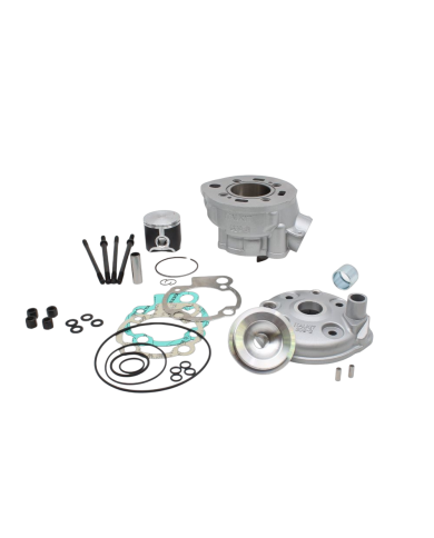 Equipo motor racing Minarelli AM (48 mm)