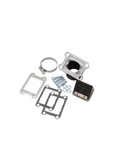 Tobera de admisión + caja de laminas Motor Minarelli AM6 Dellorto