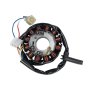 Stator SGR Motor Minarelli AM6 Euro 2 ( 12 bobinas )