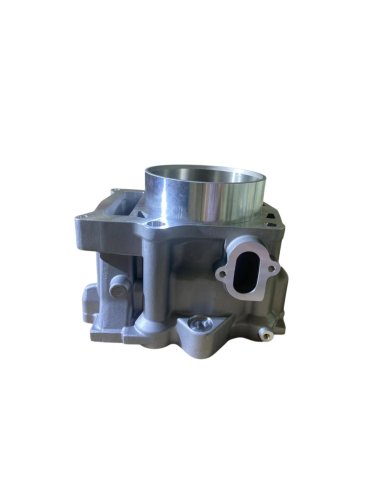 Cilindro Motojoy Yamaha Raptor 660 01-05