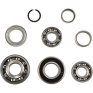 Kit rodamientos de transmisión  SUZUKI RM 250 01-08