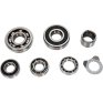 Rodamientos del cambio Yamaha Raptor 660 01-05
