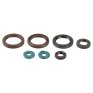 Kit retenes aceite motor KTM EXC-F 400/450/530 09-11