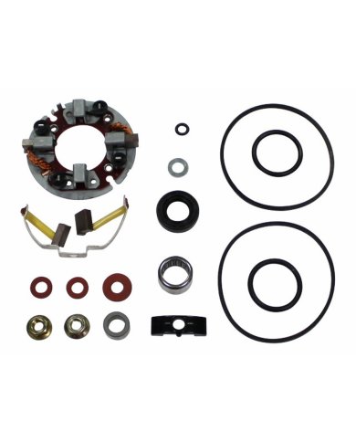 Escobillas motor arranque Yamaha Raptor 660 01-05