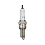 Bujia NGK Iridium SIMR8A9