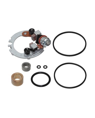 Escobillas motor de arranque KTM EXC-F 250 07-13 / SX-F 250 2012