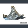 Cubrecarter P-TECH  Fantic XE 300 24-25