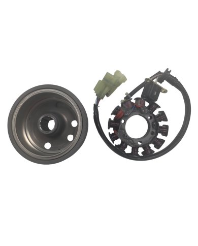 Stator + rotor Gas Gas 250/300 18-19 / Rieju MR 250-300 21-25