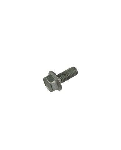 Tornillo puntera pedal de freno original Beta RR 250/300 17-27
