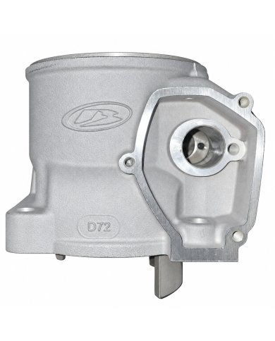 Cilindro original Beta RR 300 18-21