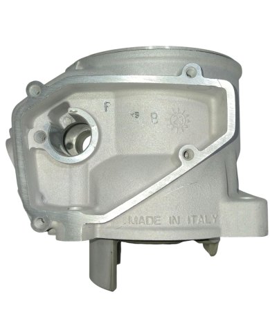 Cilindro original Beta RR 300 22-24/ RR RACE/X-PRO 25-27 / X-Trainer 300 22-27